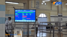 إحصائيات رسمية تكشف حصيلة إيجابية لموسم صيد الأخطبوط بالداخلة