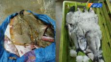 {"remix_data":[],"remix_entry_point":"challenges","source_tags":[],"origin":"unknown","total_draw_time":0,"total_draw_actions":0,"layers_used":0,"brushes_used":0,"photos_added":0,"total_editor_actions":{},"tools_used":{},"is_sticker":false,"edited_since_last_sticker_save":false,"containsFTESticker":false}